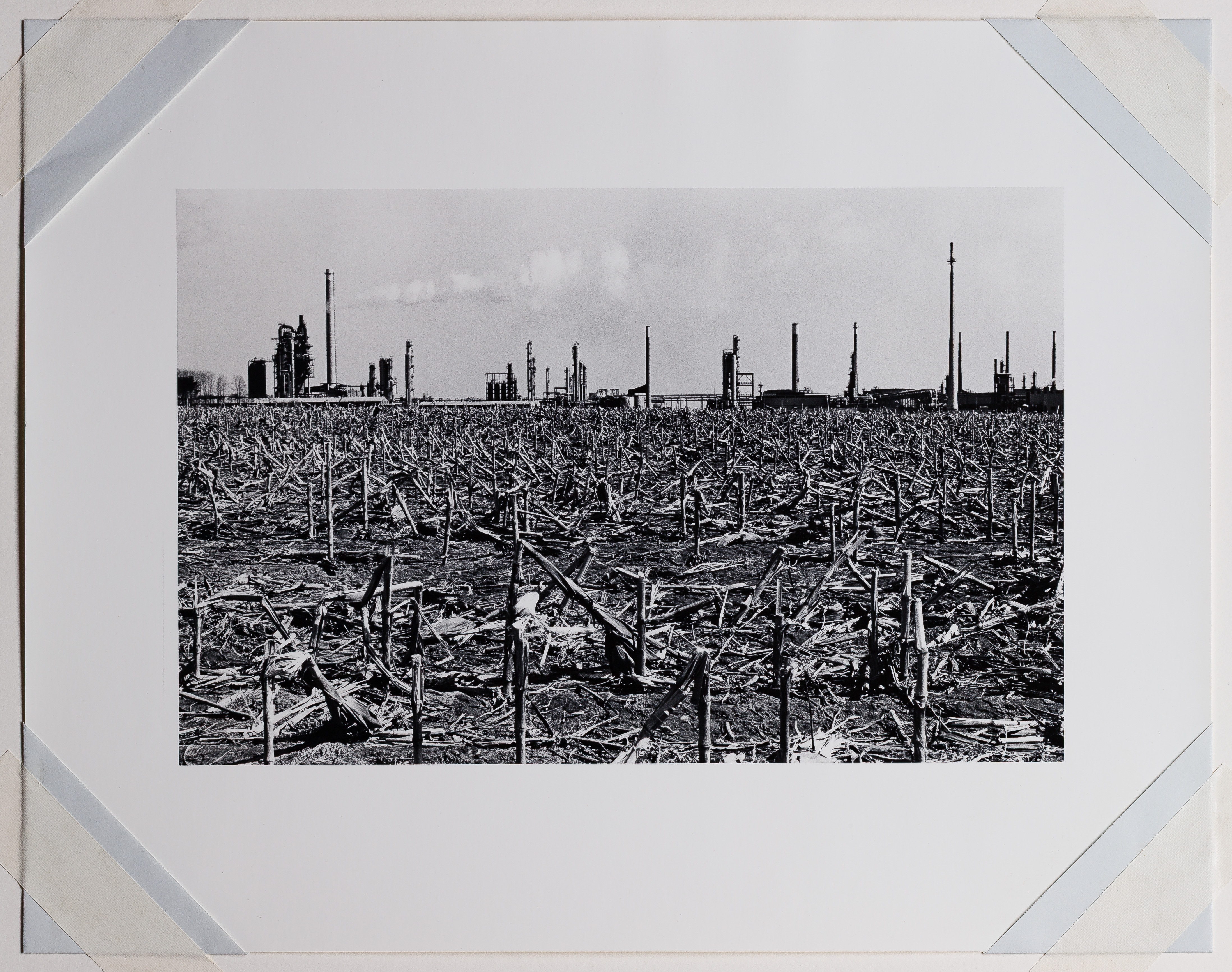 Artwork by Burk Uzzle, Photograph Assortment, Made of Photograph