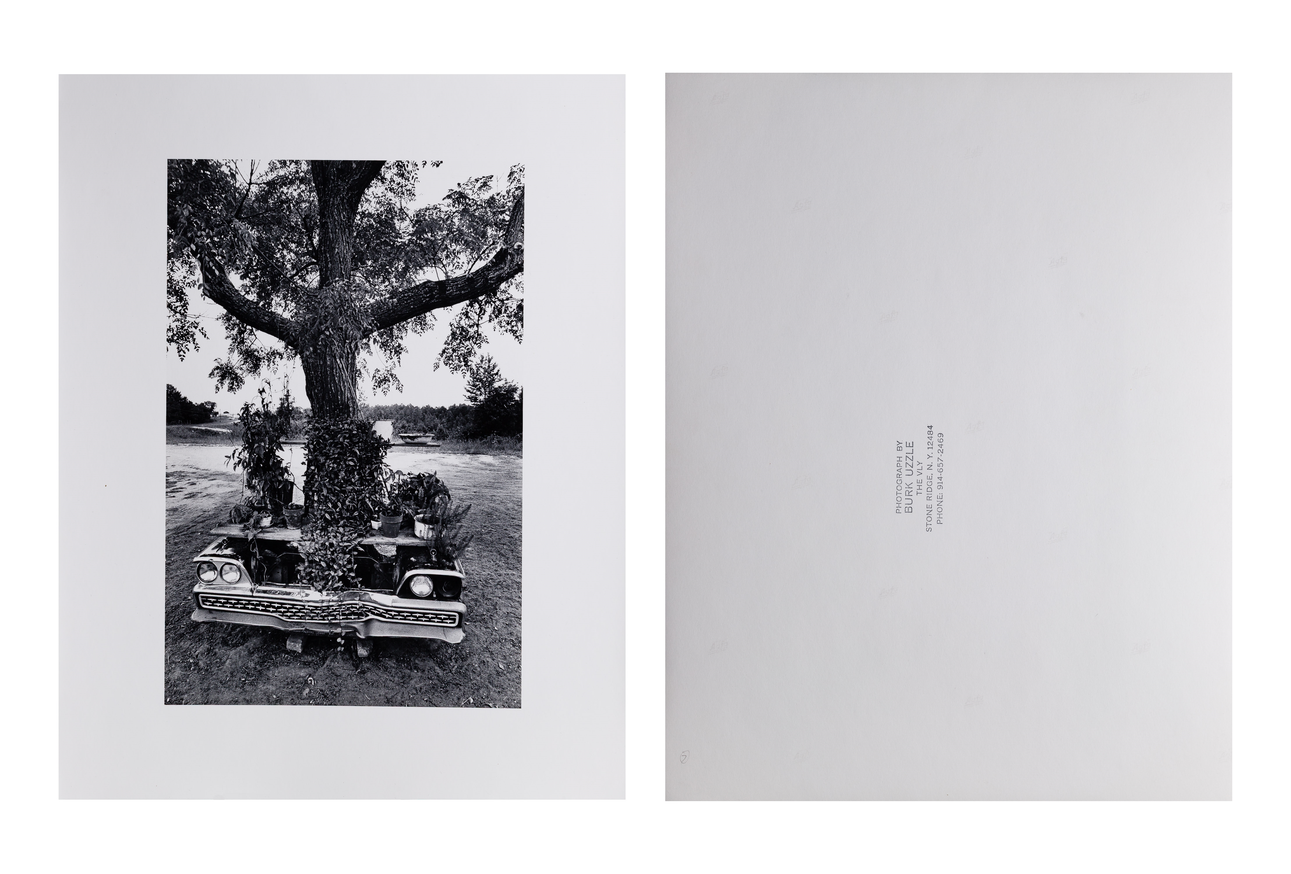 Artwork by Burk Uzzle, Photograph Assortment, Made of Photograph