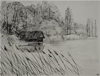 Sologne. Les pins au bord de l'étang - François Soulas