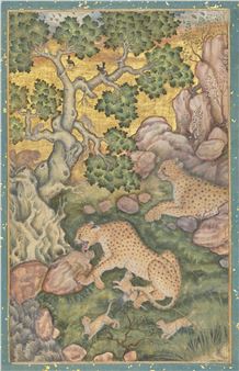 A FAMILY OF CHEETAHS IN A ROCKY LANDSCAPE - Basawan