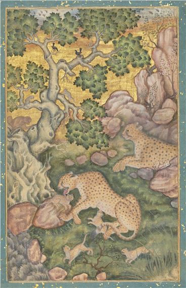 A FAMILY OF CHEETAHS IN A ROCKY LANDSCAPE - Basawan