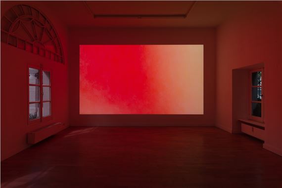 Carolyn Lazard: Pain Scale and Red - Buffalo AKG Art Museum