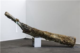 Chloé Delarue: Tafaa: Obscene Tears - Galerie Frank Elbaz, Paris