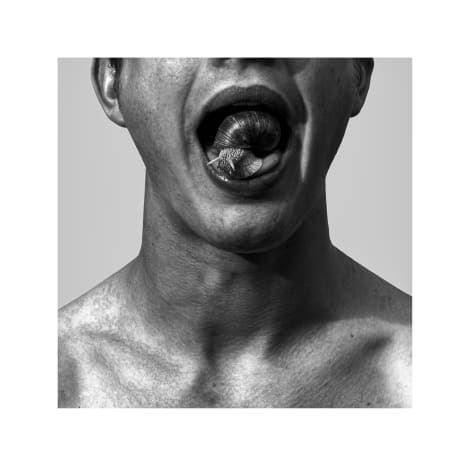 Maximilian Prüfer: Nebenlinien - 15 Jahre Naturantypie - Galerie Kandlhofer