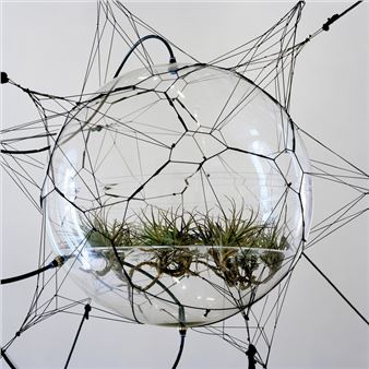 Biosphere 06 - Tomas Saraceno