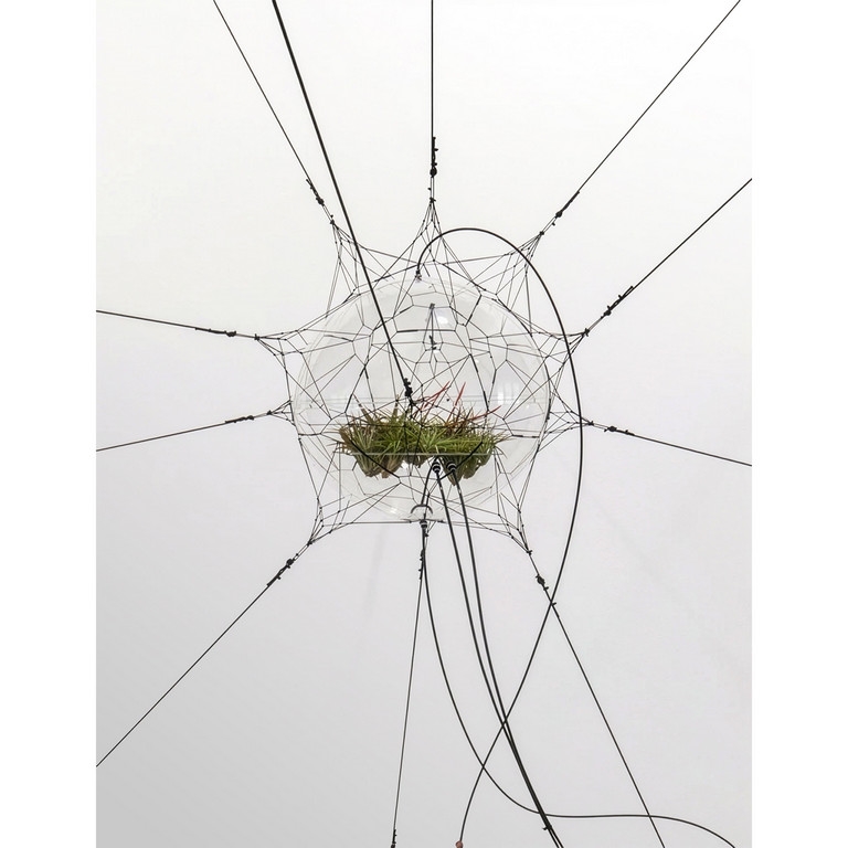 Artwork by Tomas Saraceno, Biosphere 06, Made of Acrylic, Waterdripping System, Nylon Threads, Tillandsia Plants