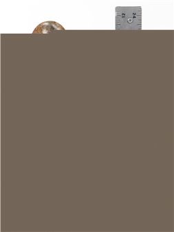 Drinking Elephant - Robert Kwechete