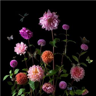 Paulette Tavormina: Portraits in Bloom - Winston Wachter Fine Art, New York