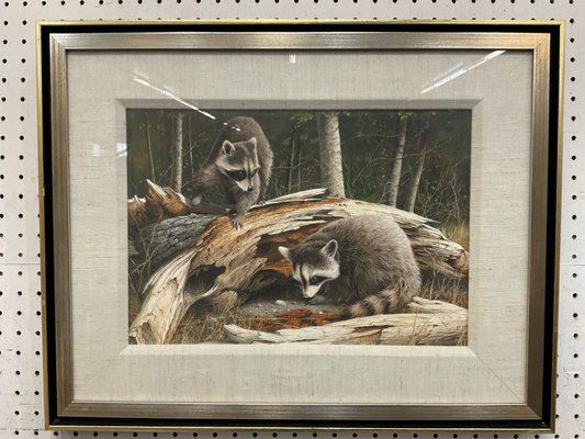 Anthony J. Rudisill | Raccoon Painting | MutualArt