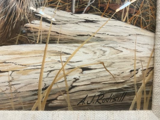 Anthony J. Rudisill | Raccoon Painting | MutualArt