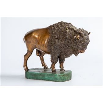 Búfalo - Jorge Hernandez