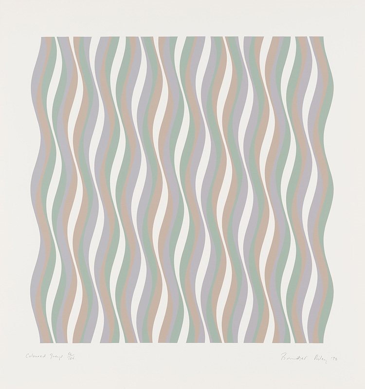 Artwork by Bridget Riley, Coloured Greys, Made of Screenprint On Paper