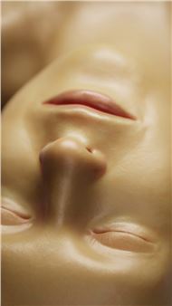 Sidsel Meineche Hansen: Lily - Christian Andersen Gallery