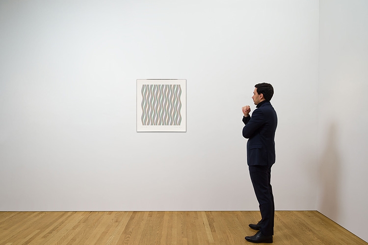 Artwork by Bridget Riley, Coloured Greys, Made of Screenprint On Paper