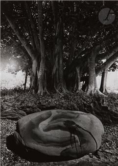Hands and rock - Jerry Uelsmann