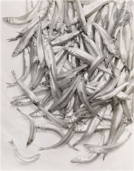 ÃԲ - Emmanuel Sougez