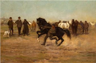 Horse test - Józef Stanislaw Slocinski