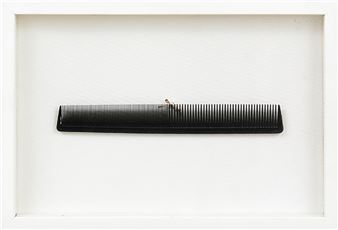 The Louse - Francesco de Molfetta