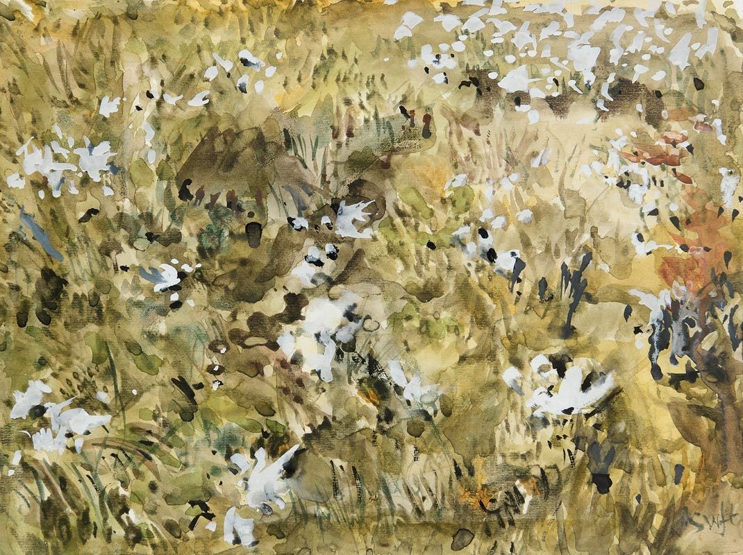 Artwork by Patrick Swift, Bog Cotton, Made of Watercolour On Paper