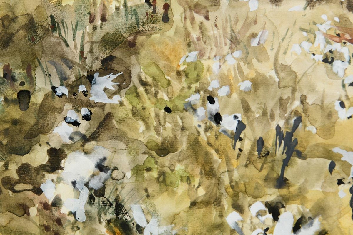Artwork by Patrick Swift, Bog Cotton, Made of Watercolour On Paper