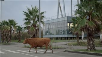 Tekla Aslanishvili: The Plan and the Map - Nassauischer Kunstverein Wiesbaden