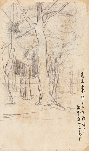 Artwork by Aoki Shigeru, Cherry blossoms, Made of pencil and watercolor on paper