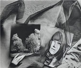 Photography - sale without reserve price - Yann le Mouel