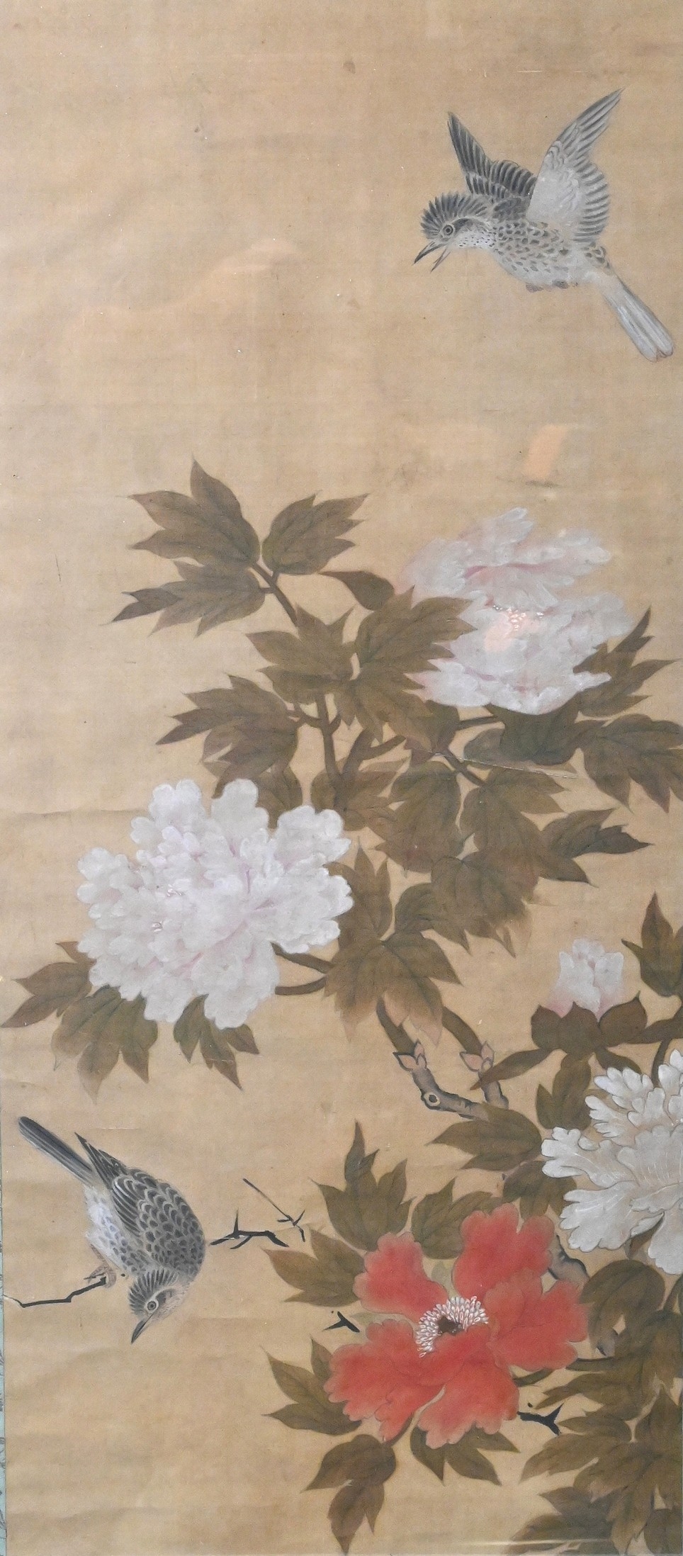 Artwork by Chinese School, Chinese Hanging Scroll Painting of Birds and Flowers, Made of Ink And Color On Silk