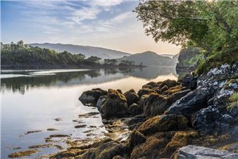 Scottish Nature Photography Awards - Logan Botanic Garden