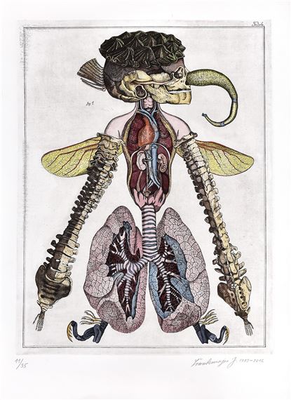 Jan Švankmajer | PŘÍRODOPIS, TAB. 1 (1975 - 2012) | MutualArt