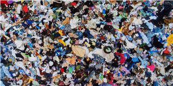 Soledad Salame: Camouflage