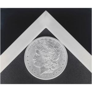 Silver dollar - Robert Mapplethorpe
