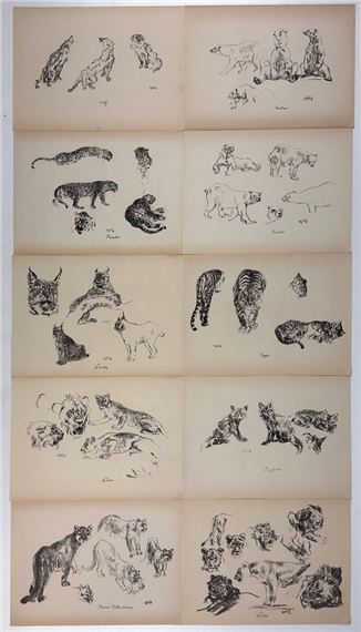 Tierstudien - Walther‏ Klemm