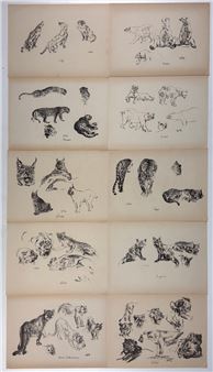 Tierstudien - Walther‏ Klemm