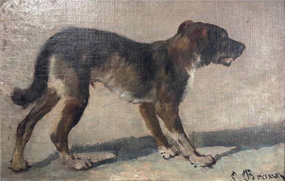Schweizer Sennenhund - Louis Braun