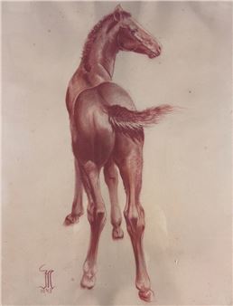 Fohlen auf der Koppel - Willi Münch-Khe