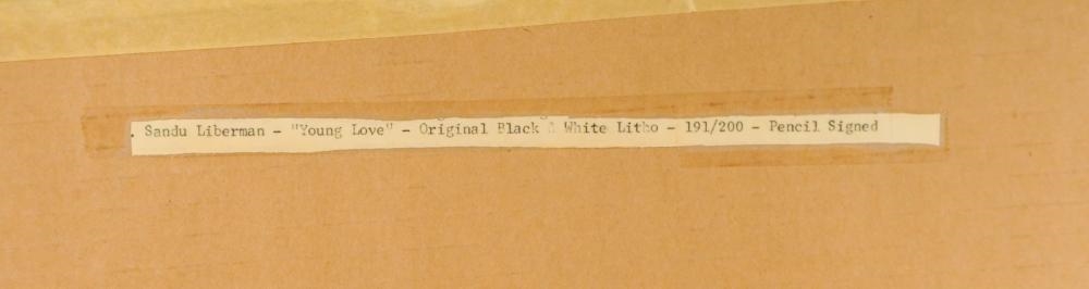 Artwork by Sandra Lieberman, Lovers, Made of Lithograph