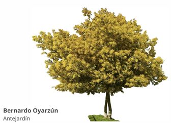 Bernardo Oyarzún: Antejardín - Galería Patricia Ready