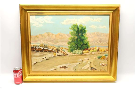 Southwestern Landscape