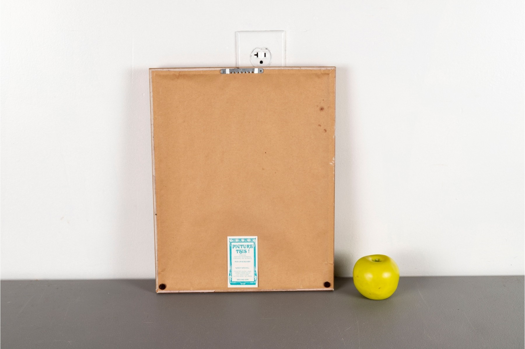 Artwork by A.F. Lydon, Carolina Parrot, Made of Engraving