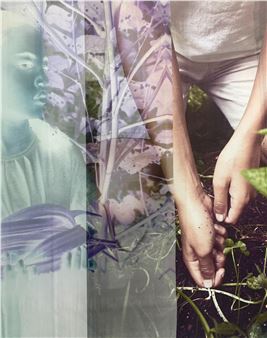 Tokie Rome-Taylor: Heirloom Seeds - Atlanta Contemporary