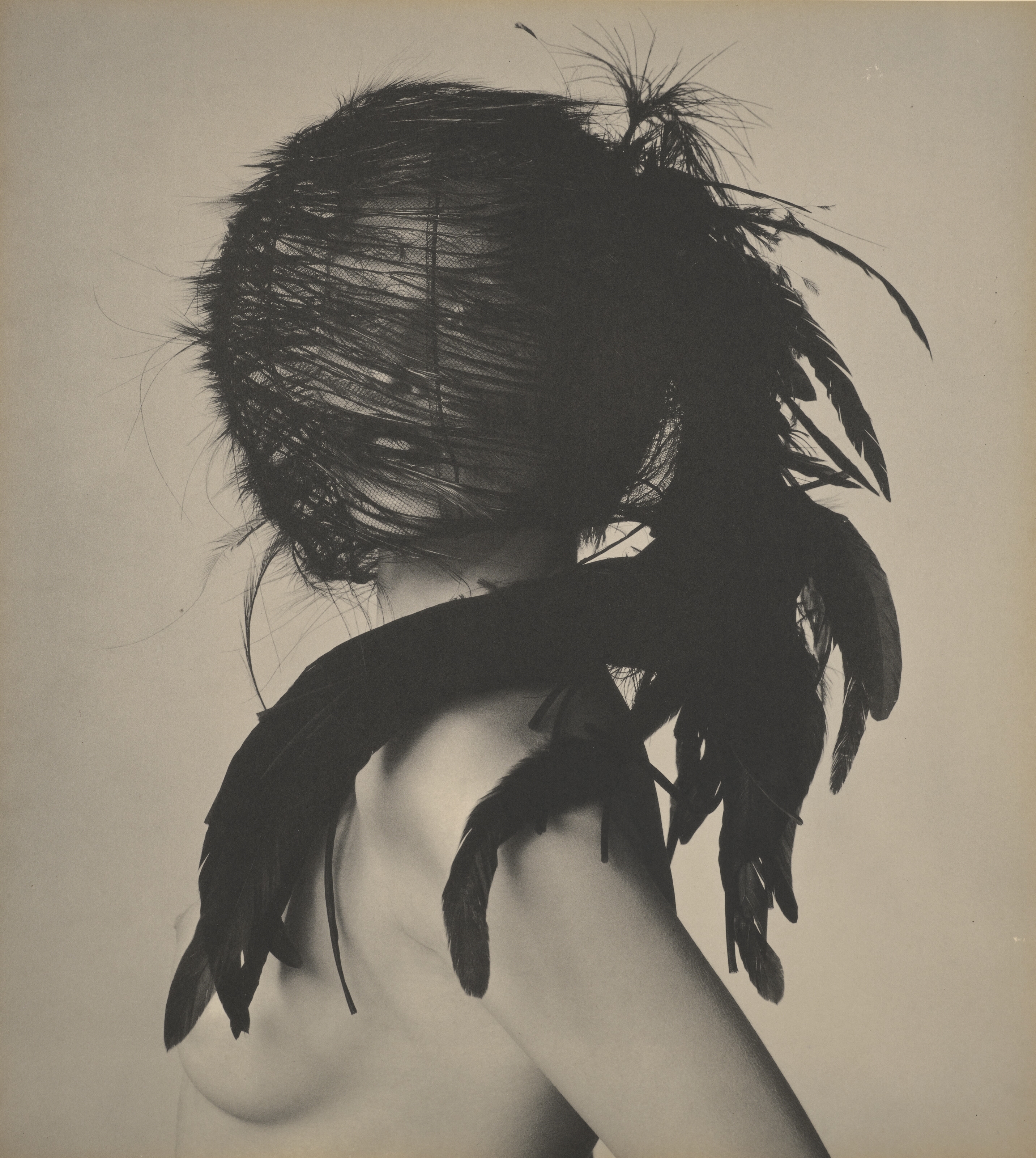 Artwork by Irving Penn, Chanel Feather Headdress [by Karl Lagerfeld for Chanel Haute Couture], New York, Made of Platinum-palladium print