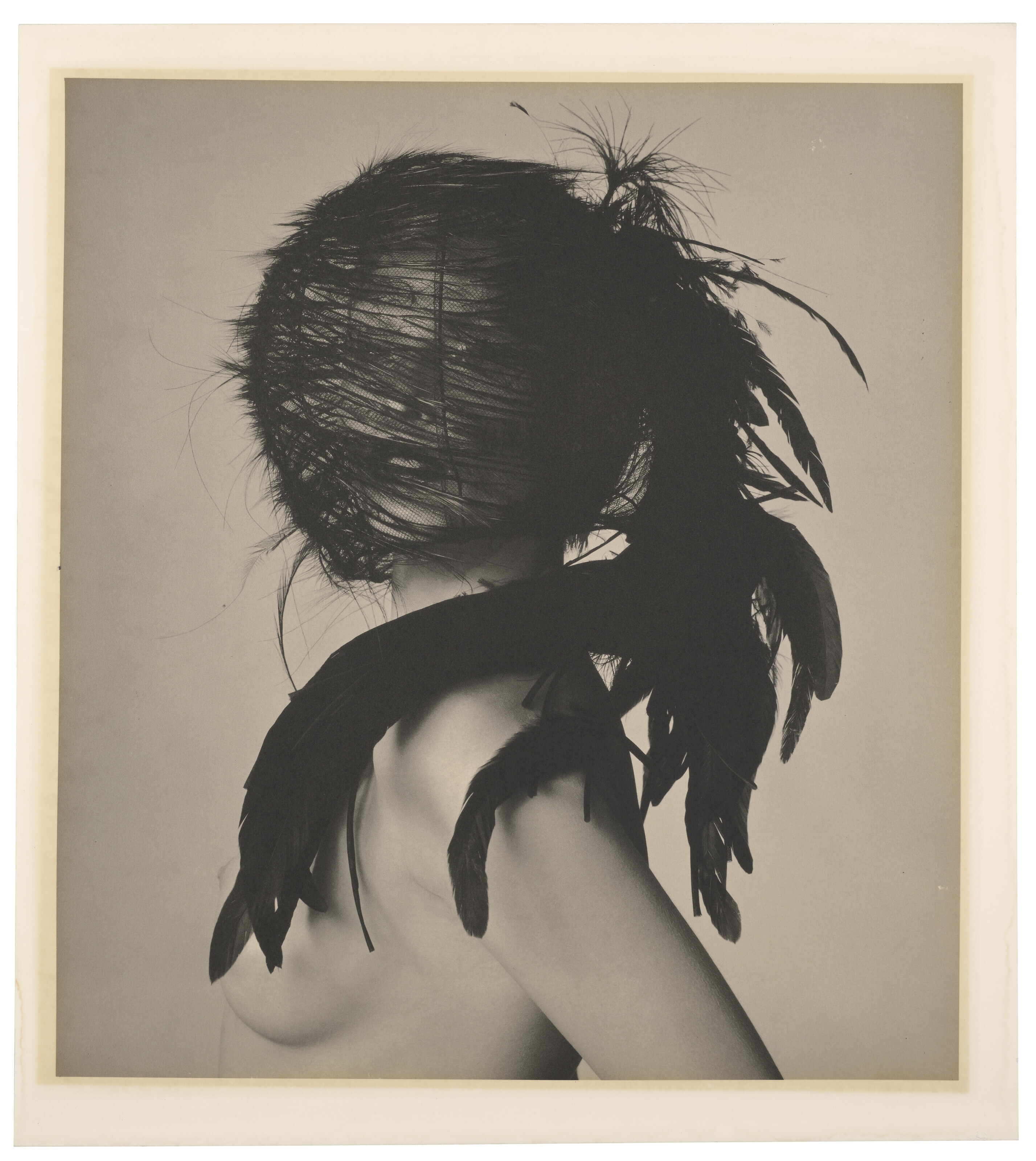 Artwork by Irving Penn, Chanel Feather Headdress [by Karl Lagerfeld for Chanel Haute Couture], New York, Made of Platinum-palladium print
