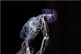 Tavares Strachan gets his first major museum exhibition in L.A. at LACMA