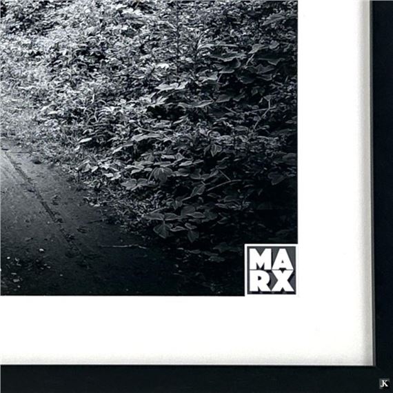 Andy Marx | Eyes In The Woods | MutualArt
