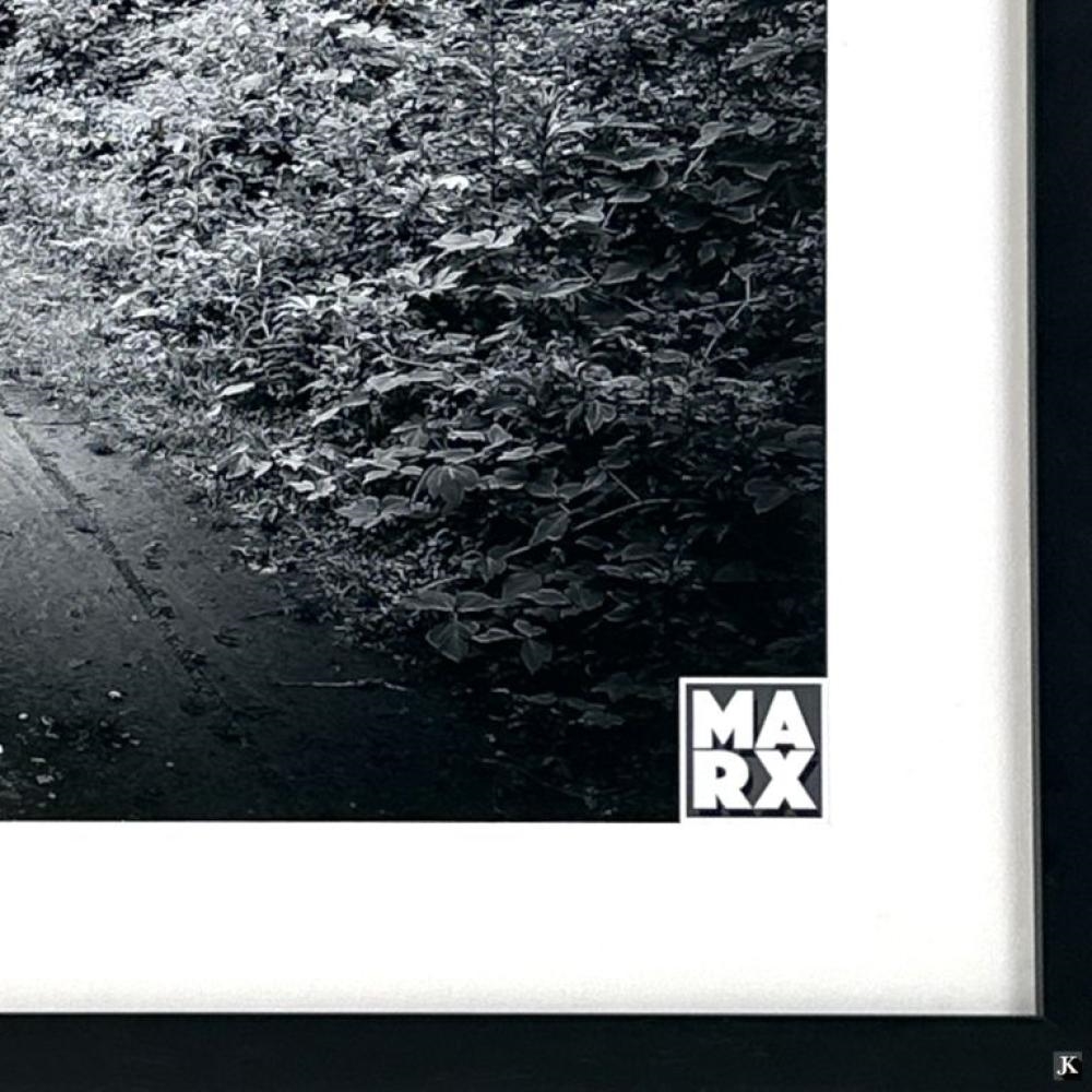 Artwork by Andy Marx, Eyes In The Woods, Made of Photographic Print