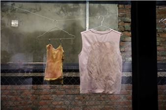 Open Window: Trịnh Ngân Hạnh, Thịt Phơi phồ - Govett-Brewster Art Gallery