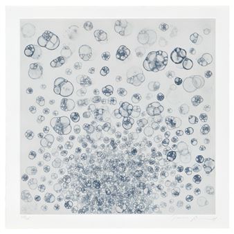 Untitled - Tara Donovan