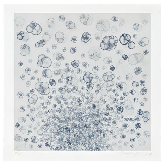 Untitled - Tara Donovan