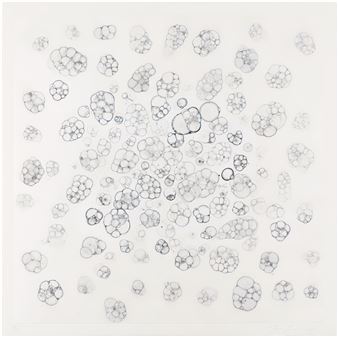 Untitled - Tara Donovan